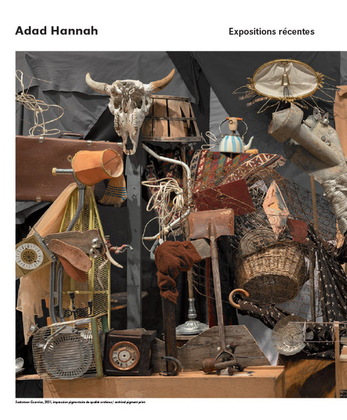CV124 - Adad Hannah : Expositions récentes — Sylvain Campeau