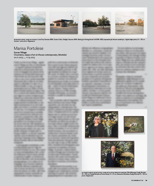 CV124 - Marisa Portolese : Goose Village — Sophie Bertrand