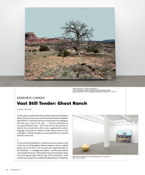 CV114 - Geneviève Cadieux, Immense et pourtant délicat : Ghost Ranch — Laurie Milner