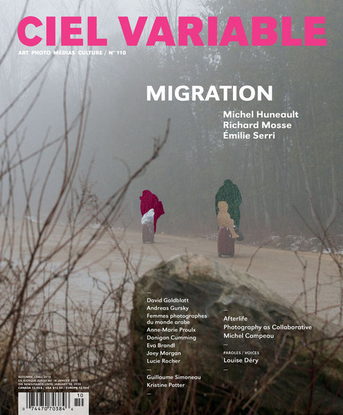 CIEL VARIABLE 110 - MIGRATION