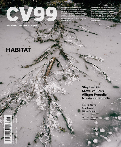 CIEL VARIABLE 99 - HABITAT