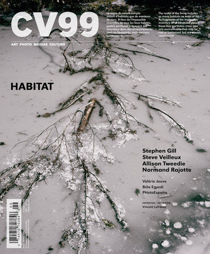CV99 - David Goldblatt - Stephen Horne
